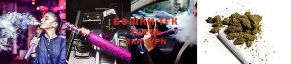PSILOCYBIN Кинешма