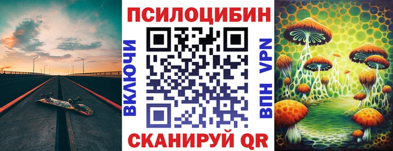 Купить где  Оса  Галлюциногенные грибы Psilocybe 